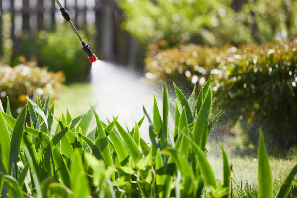 Tamper-Resistant Bait Stations for Rodents in Tubac