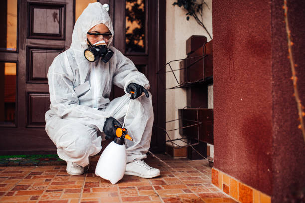 Attic and Crawl Space Rodent Treatment in Tubac