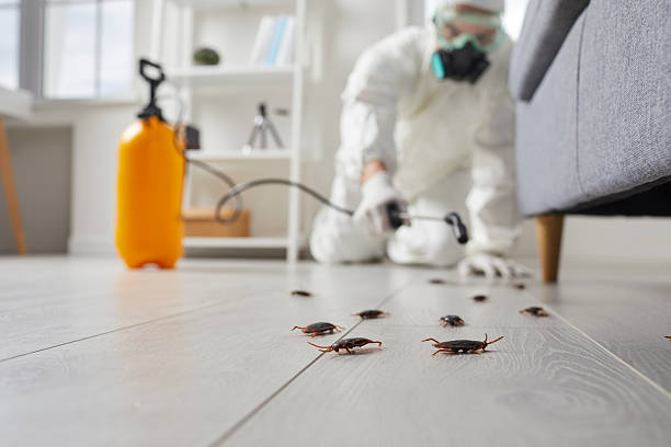 Commercial Rodent Management in Tubac